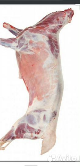 Мясо баранина