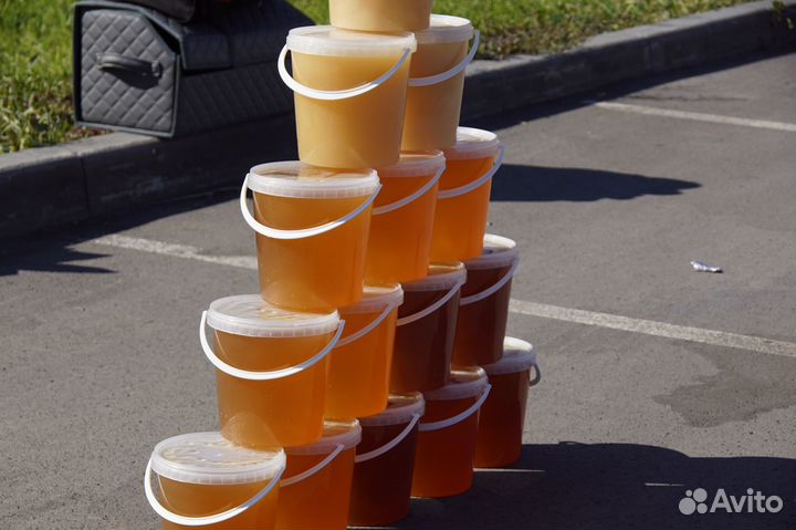 Свежий мёд сентябрь 2023 - доставка бесплатная