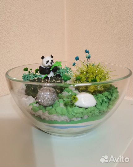 Флорариум, суккуленты, ваза, сувениры