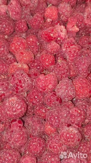 Варенье: Малиновое