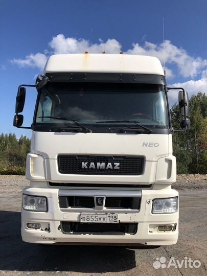 КамАЗ 5490, 2018