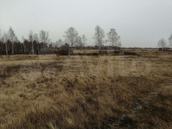 Участок 12 сот. (СНТ, ДНП)