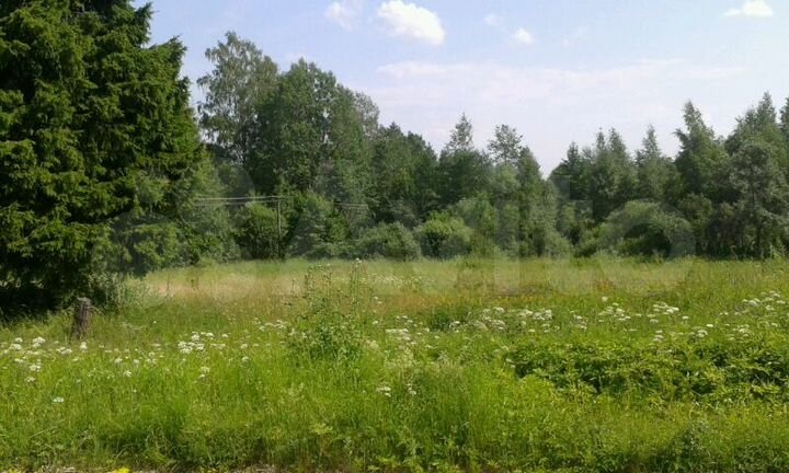 Участок 25 сот. (СНТ, ДНП)