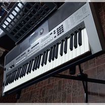 Синтезатор yamaha psr е 443