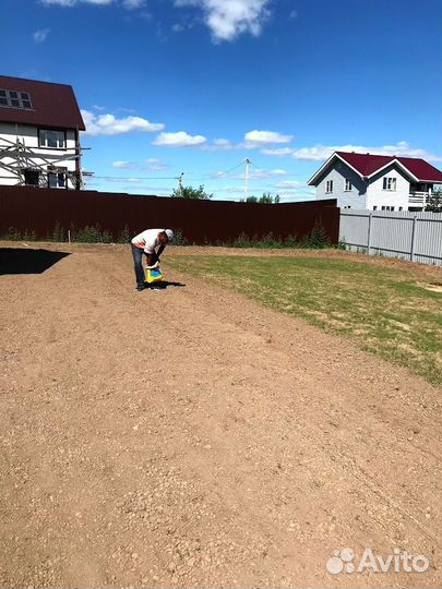 Газон под ключ, посевной газон