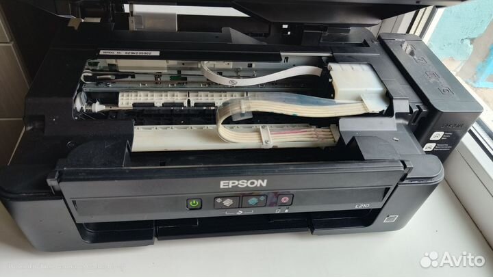 Epson l210 для ч.б.печати