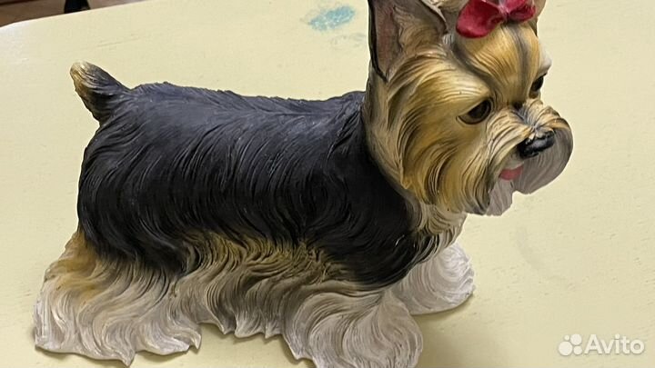 Собака капилка