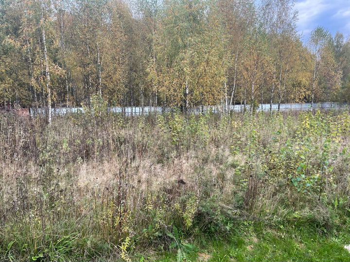 Участок 17,3 сот. (СНТ, ДНП)