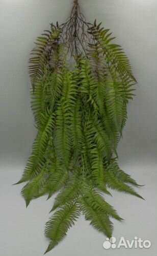 Искусственные растения