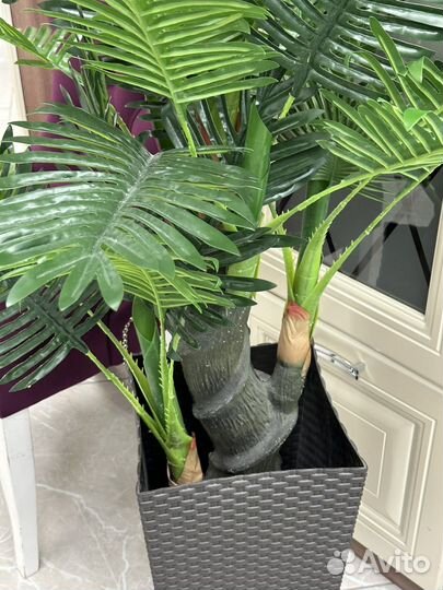 Искусственная пальма