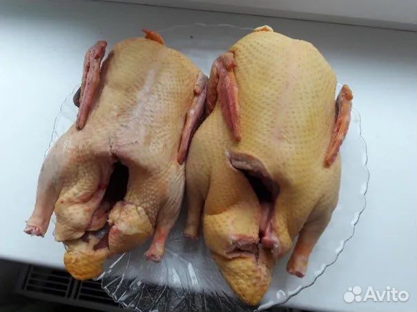 Домашнее мясо птиц (гусь,утка,индо-утка,бройлер)