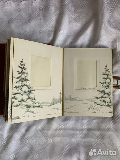 Два старинных фотоальбома