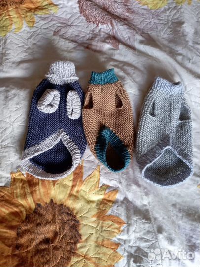 Одежда для животных