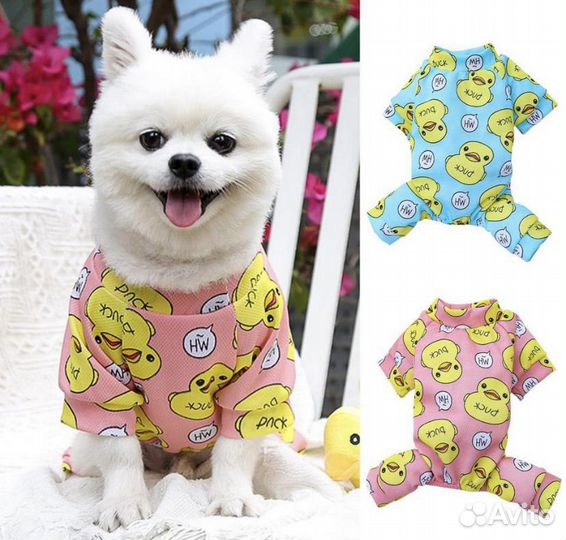 Одежда для животных