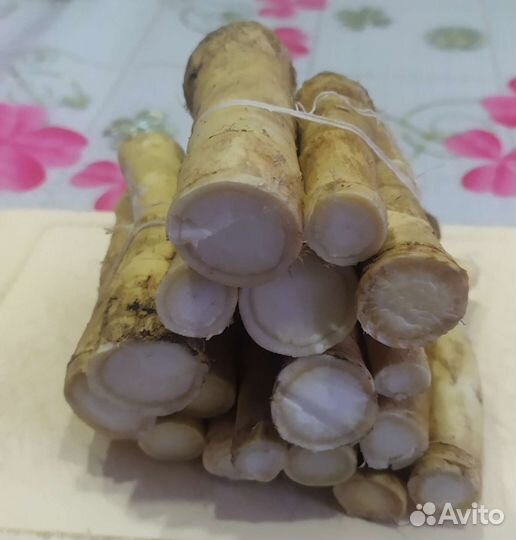 Продам корень хрена