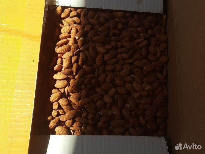 Орех грецкий