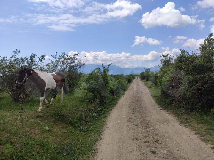 Участок 2 га (ИЖС)