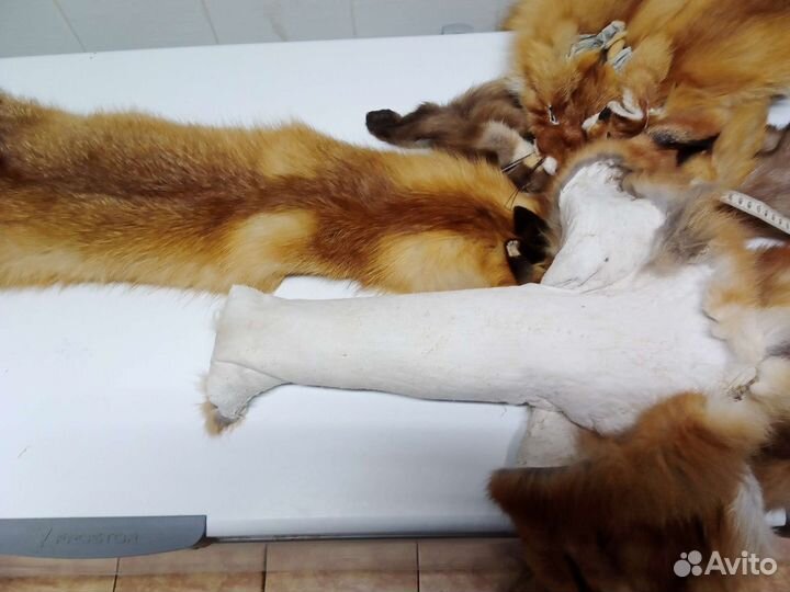 Шкуры лисы выделанные