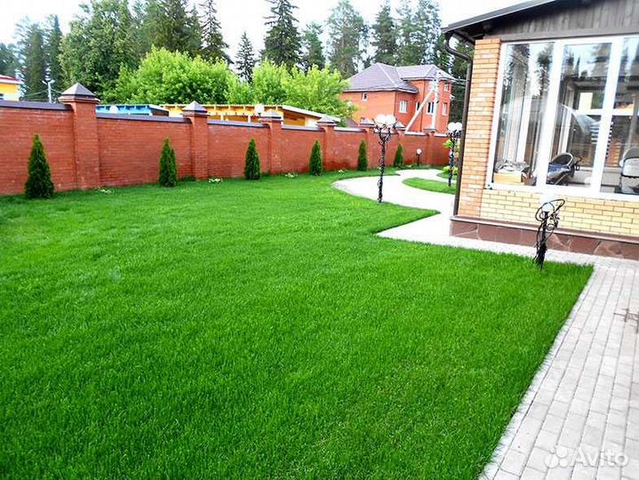 Рулонный газон, укладка рулонного газона