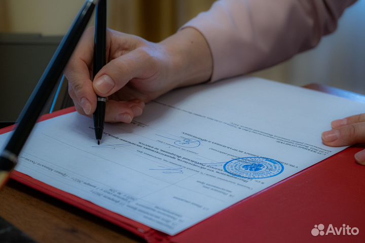 Фотограф + видеограф