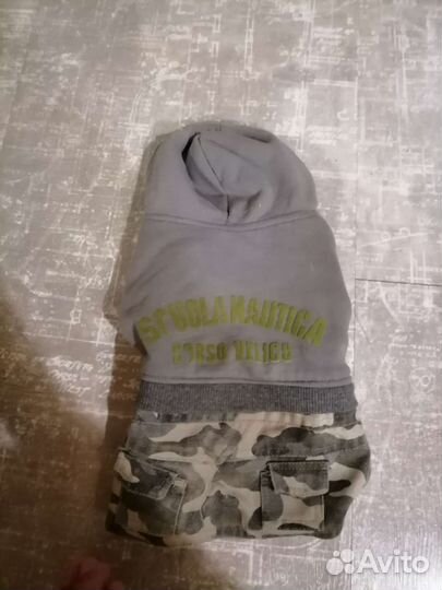 Одежда для маленькой собачки