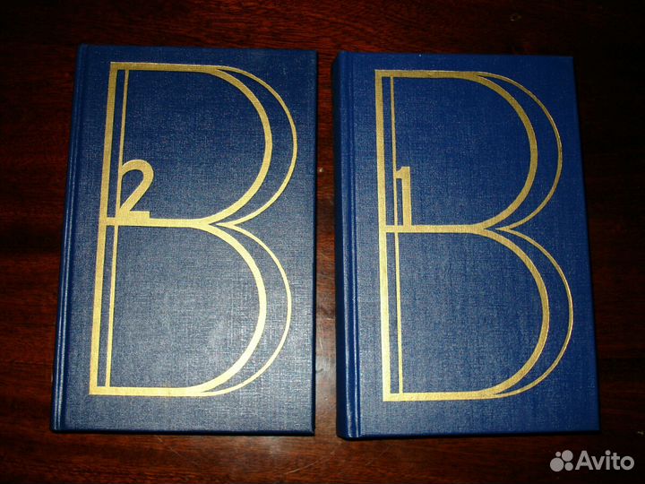 Два тома Владимир Высоцкий