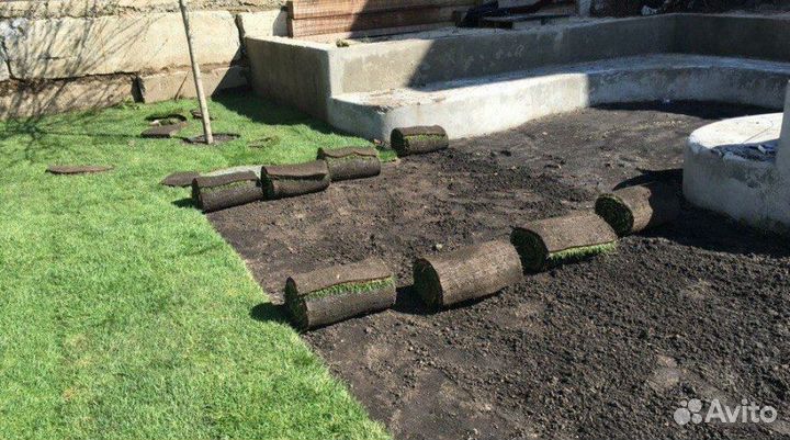 Рулонный газон