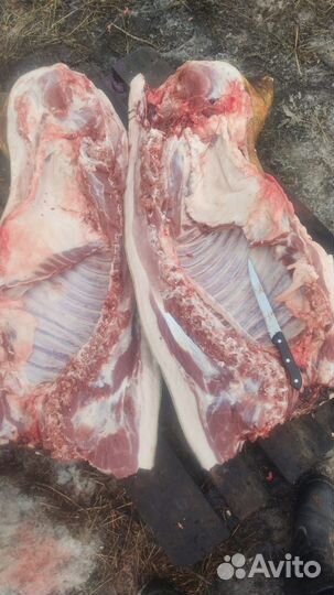 Мясо свинины домашнее