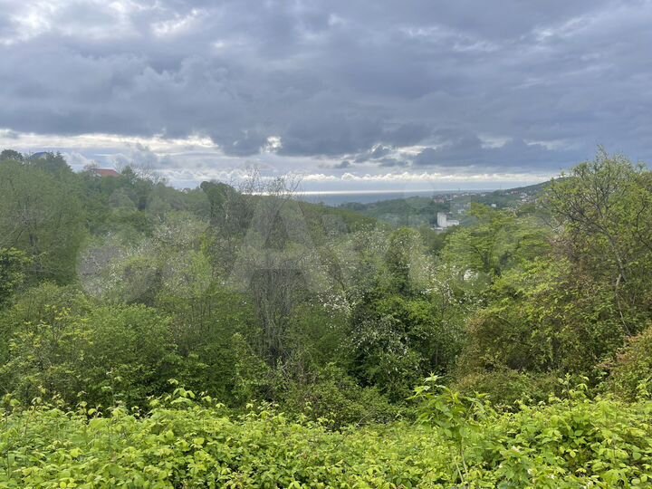 Участок 8 сот. (ИЖС)