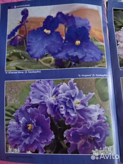 Журналы Узумбарская фиалка