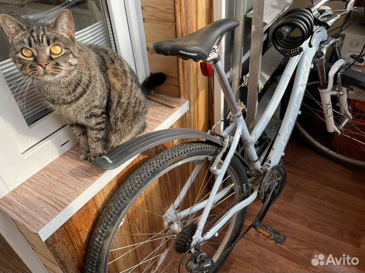 Marin bikes california велосипед
