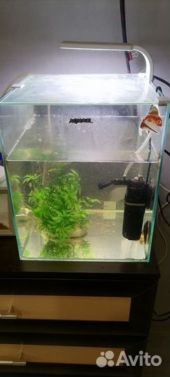 Аквариум aquael 30
