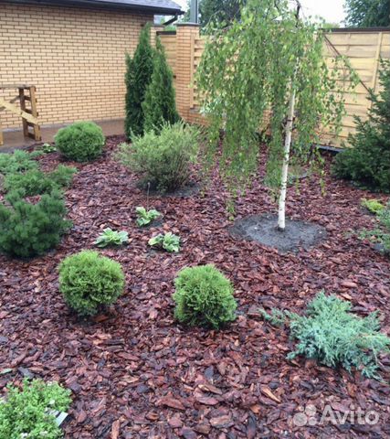 Кора сосны и лиственницы мульча