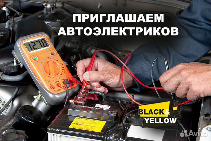 Автоэлектрик диагност