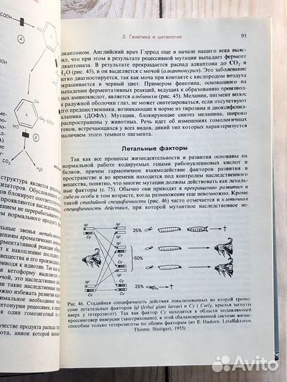 Хадорн Э., Венер Р. Общая зоология 1989 год