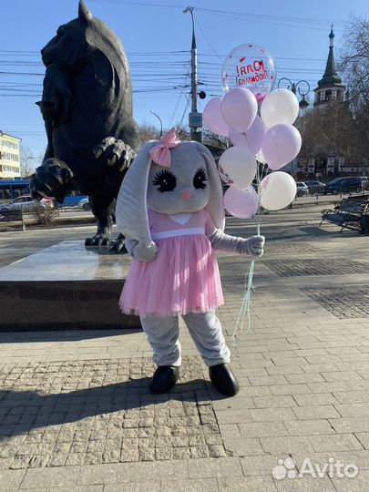 Услуги аниматора Зайка