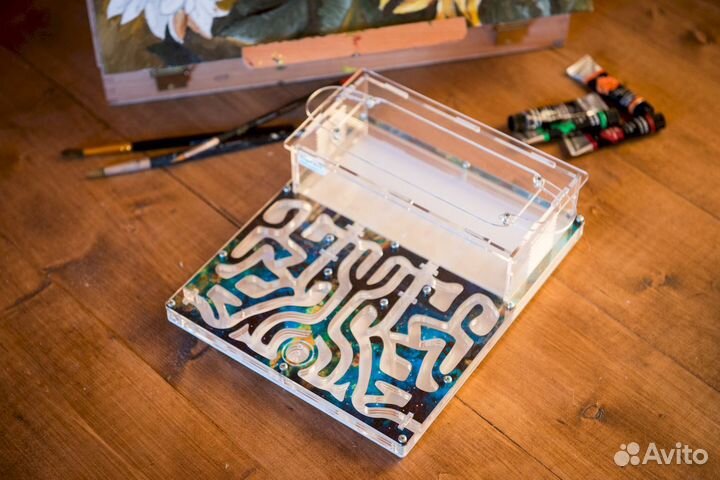 Муравьиная ферма / Формикарий