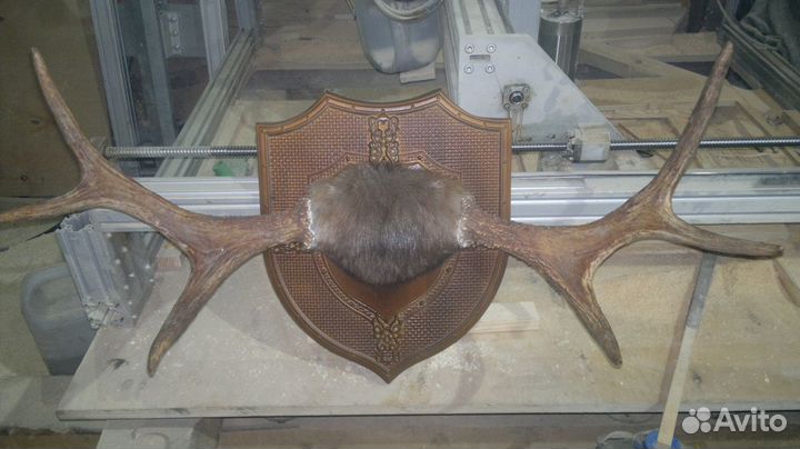 Часы из массива дерева