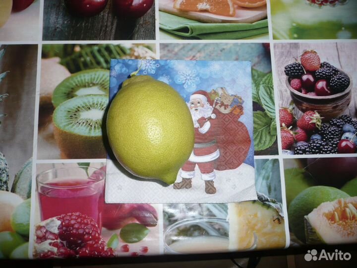 Комнатные плодоносящие лимоны