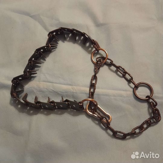 Поводок, намордники, ошейник строгий для собак