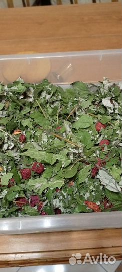 Липовый цвет сушеный