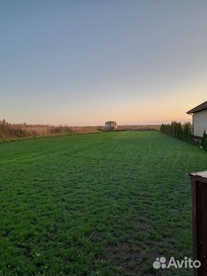 Благоустройство участка