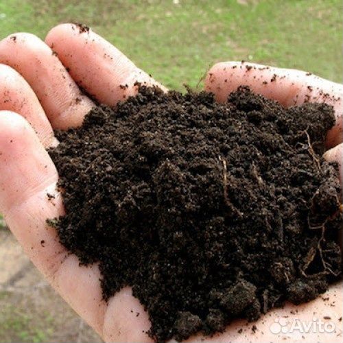 Чернозем, торф, садовая земля в мешках по 50 л