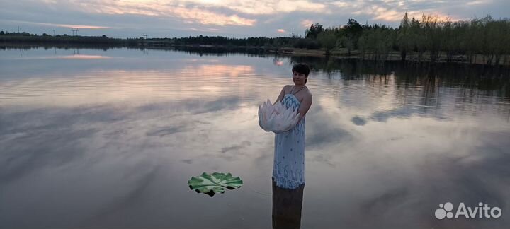 Цветы для фотосессии