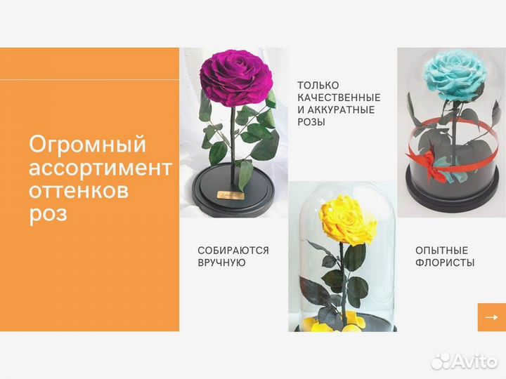Роза в колбе