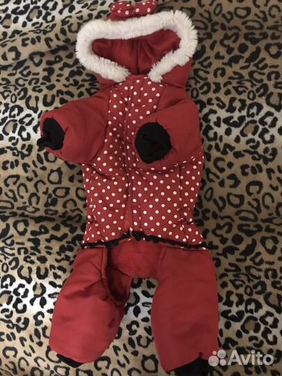 Комбинезон для маленькой собачки