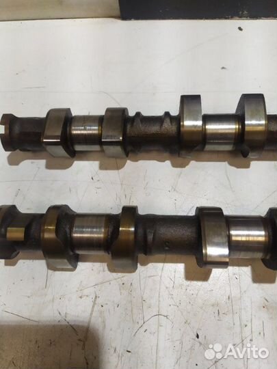 Распредвал Ford Focus eydc