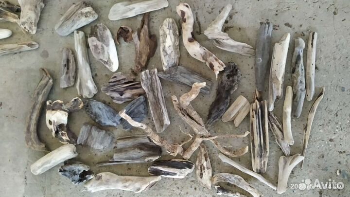 Дрифтвуд для поделок, шишки, коряги