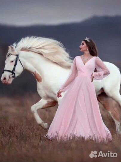 Фотосессии с лошадьми Москва