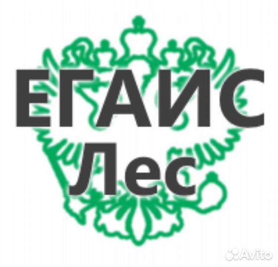 Декларации, егаис-лес
